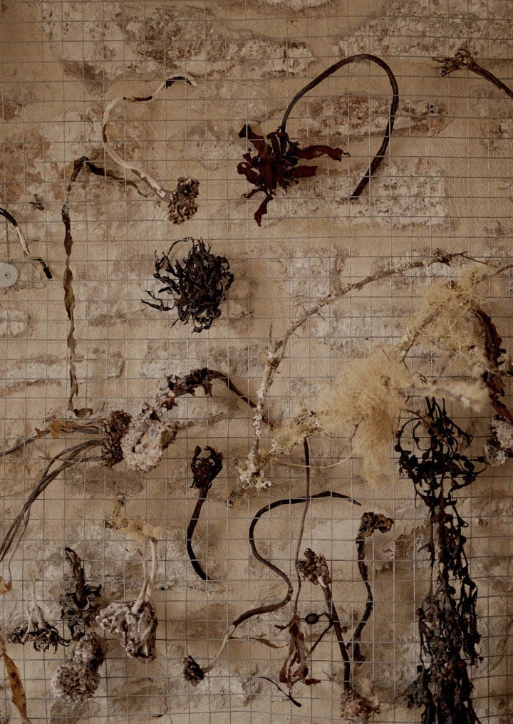 Emily Nixon Urchin Hoop Earrings | Silver 8 Emily Nixon Urchin Hoop Earrings | Silver - Image 6