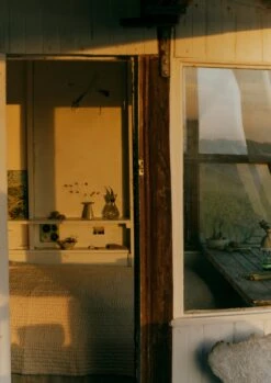 Alice Passingham Scalloped Vase | White -Falke Store HCEUS33 5