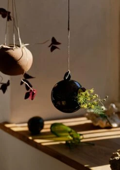 Hanging Boule Glass Vase | Brown -Falke Store HGLSW09 3 b33b4985 4b42 4019 a4b0 2a0e932cee58