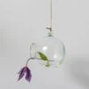 Hanging Boule Glass Vase | Transparent -Falke Store HGLSW09 transparent