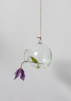 Hanging Boule Glass Vase | Transparent