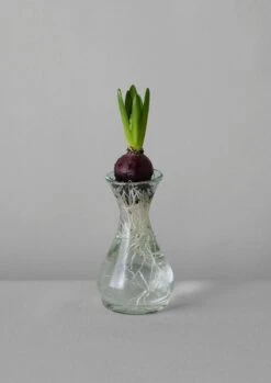 Hand Blown Polonaise Vase | Clear -Falke Store HGLUS12 2