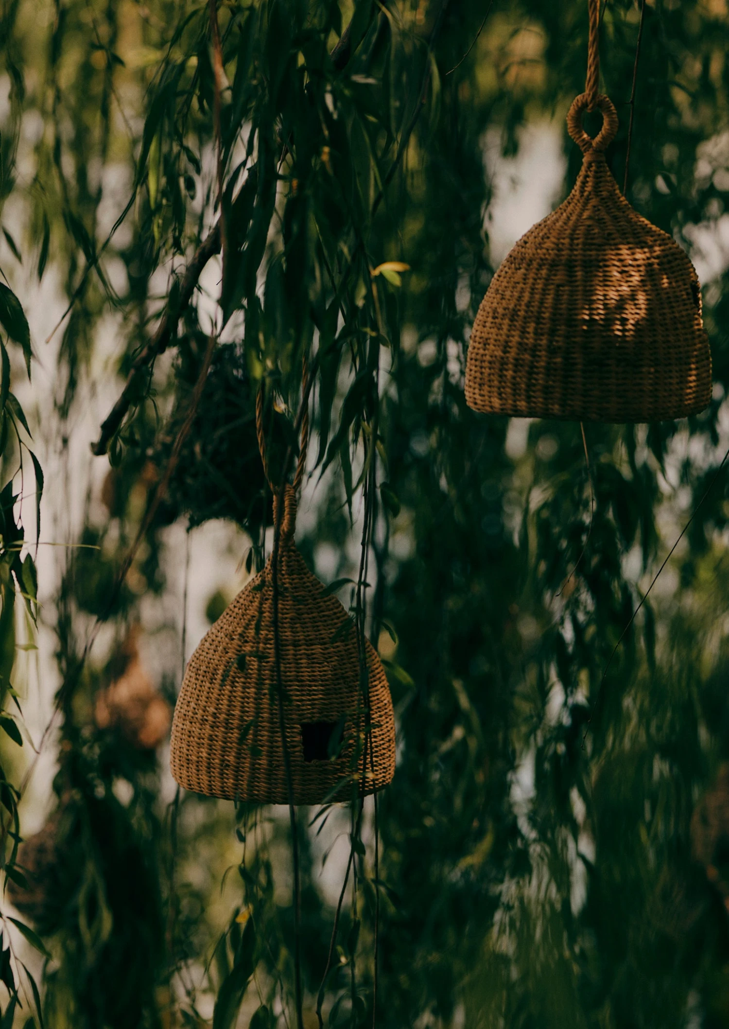 Veta Vera Grass Bird Nester | Natural 4 Veta Vera Grass Bird Nester | Natural - Image 2