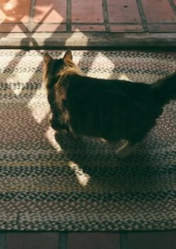 Fiesta Organic Jute Braided Rug | Blossom -Falke Store HRGUS03 2