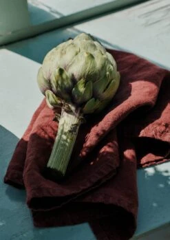 Washed Linen Napkin | Conker -Falke Store HTBSW03 1