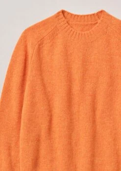 Crew Neck Wool Sweater | Clementine 12 Crew Neck Wool Sweater | Clementine -Falke Store MKNTW16 12