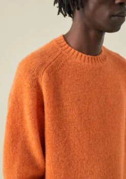 Crew Neck Wool Sweater | Clementine 9 Crew Neck Wool Sweater | Clementine -Falke Store MKNTW16 8