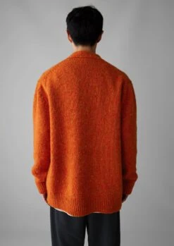 V-Neck Donegal Wool Cardigan | Wild Carrot -Falke Store MKNUS13 4