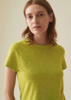 Cotton Boy Tee | Lime Leaf -Falke Store WJETS14 8