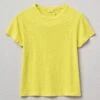 Cotton Boy Tee | Lemon -Falke Store WJETS14 lemon