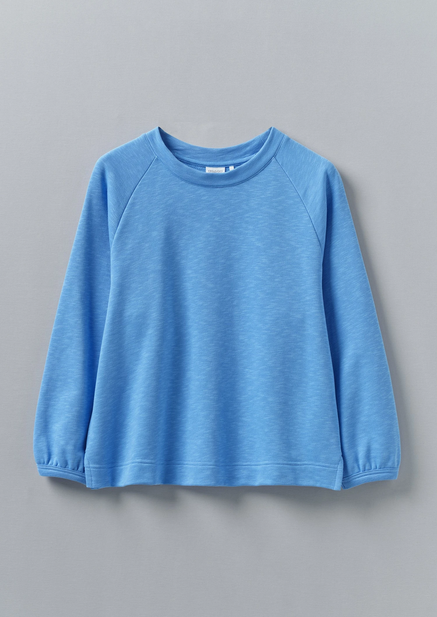 Cotton Jersey Raglan Sweatshirt | Cornflower 3 Cotton Jersey Raglan Sweatshirt | Cornflower