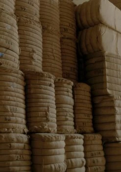 Annie Organic Denim Side Button Jeans | Indigo 12 Annie Organic Denim Side Button Jeans | Indigo -Falke Store organic indigo denim