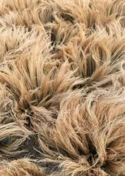 Sorghum Stripe Broom | Toffee -Falke Store thumbnail sorghum 1