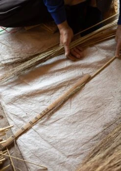 Sorghum Stripe Broom | Toffee -Falke Store thumbnail sorghum 2